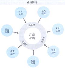 细分的品牌管理 从宏观策略到微观执行的艺术